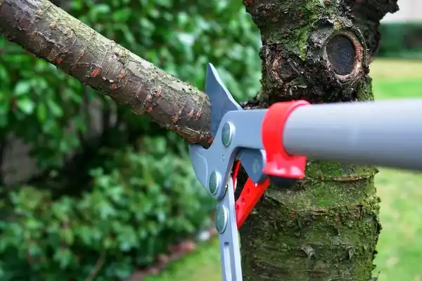 tree services Hillsboro